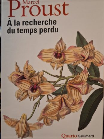 Marcel Proust- À la recherche du temps perdu